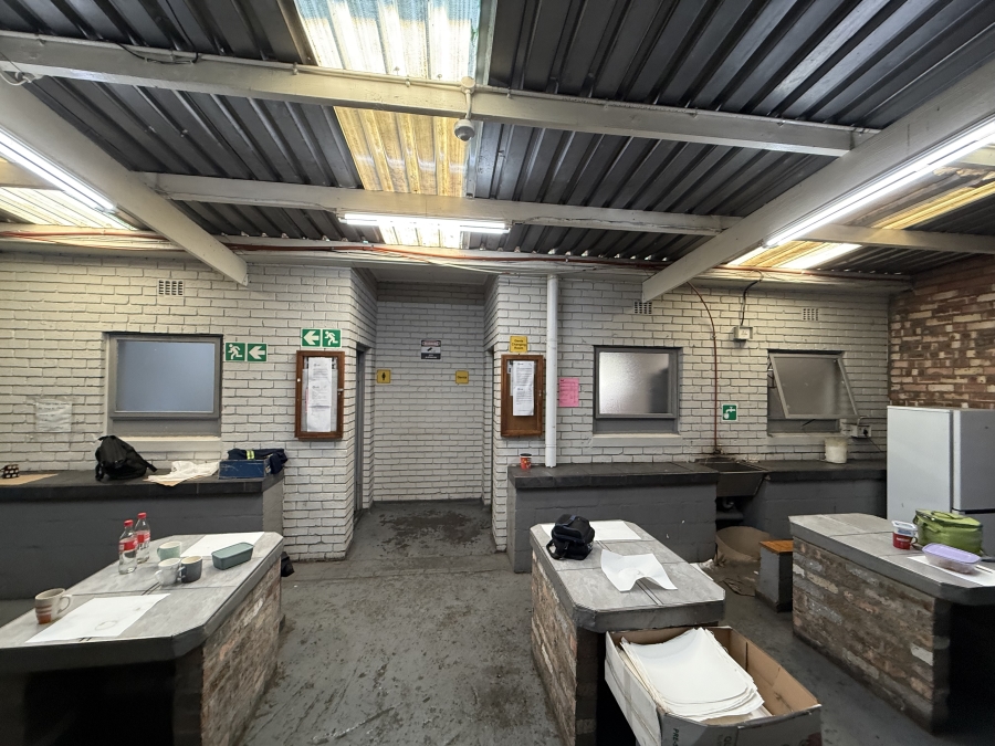 To Let commercial Property for Rent in Triangle Farm Western Cape